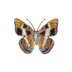 Tomfoolery Arizona Sister Butterfly Brooch Online