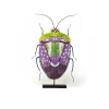 Tomfoolery Birch Shield Bug Dragonfly Beaded Art Object Discount