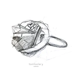 Tomfoolery ‘Boxcast’ Art Ring Best