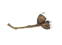 Tomfoolery Bronze Pearl Acorn Brooch Sale