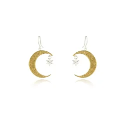 Tomfoolery Crescent Moon & Star Hook Earrings Fashion