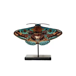 Tomfoolery Donuca Moth Beaded Art Object Online