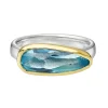 Tomfoolery Elongated Irregular Aquamarine Ring Best
