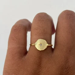 Tomfoolery Gold & Turquoise Round Veteris Ring New