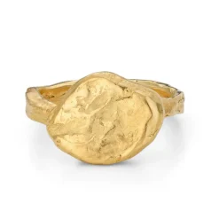 Tomfoolery Gold Mehnir Signet Ring Fashion
