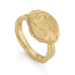Tomfoolery Gold Mehnir Signet Ring Fashion