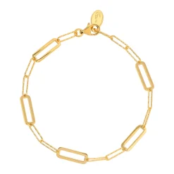 Tomfoolery Gold Rectangle Link Bracelet Online