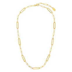 Tomfoolery Gold Rectangle Link Necklace New