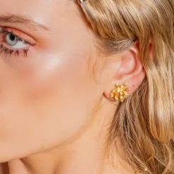Tomfoolery Gold Sea Traveller Studs Fashion