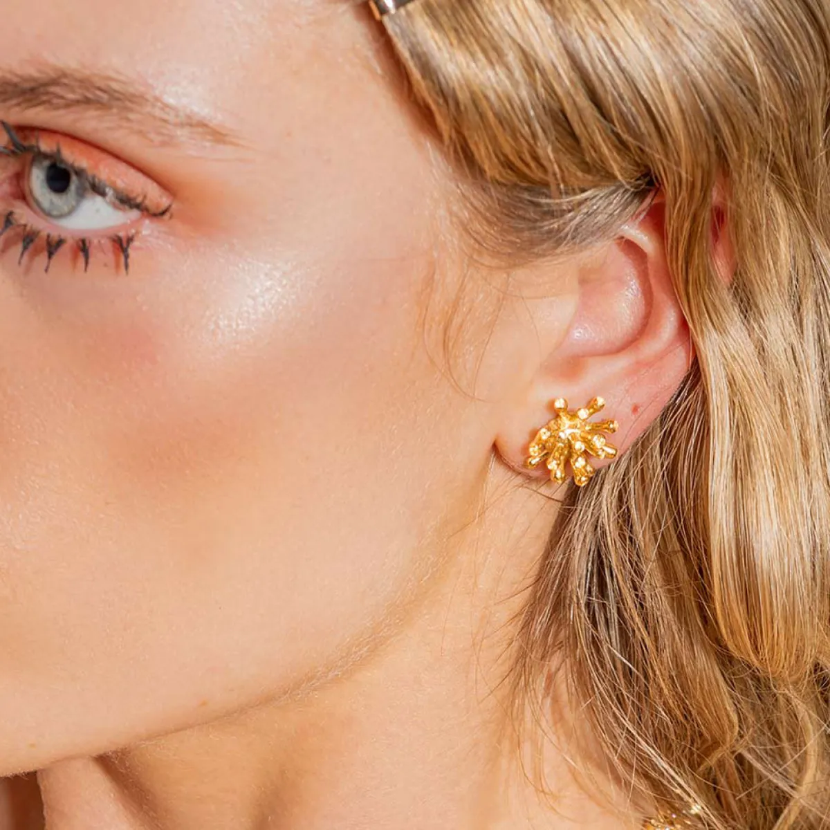 Tomfoolery Gold Sea Traveller Studs Fashion