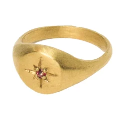 Tomfoolery Gold Signet Ring with Pink Sapphire Best