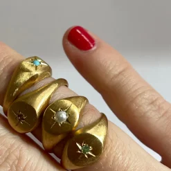 Tomfoolery Gold Signet Ring with Tsavorite Outlet