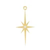 Tomfoolery Grande Astra Charm Online