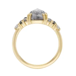 Tomfoolery Grande Storm Rose Cut Salt & Pepper Five Stone Ring Fashion