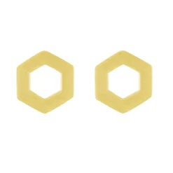 Tomfoolery Linear Large Hex Frame Studs Online