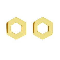 Tomfoolery Linear Large Hex Frame Studs Online