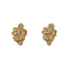 Tomfoolery Little Roses Champagne Diamond Stud Earrings Online