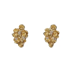 Tomfoolery Little Roses Champagne Diamond Stud Earrings Online