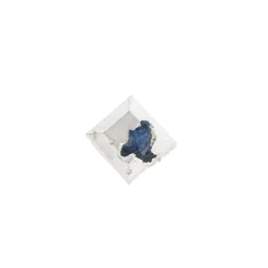 Tomfoolery Mini Embedded Sapphire Stud Hot