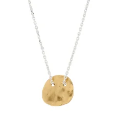Tomfoolery Minimalist Gold Vermeil Disc Necklace New