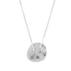 Tomfoolery Minimalist Silver Disc Necklace New