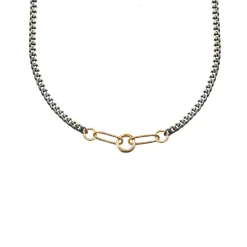 Tomfoolery Mixed Metal Five Link Charm Holder Necklace Fashion