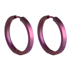 Tomfoolery 24mm Titanium Hoops Discount