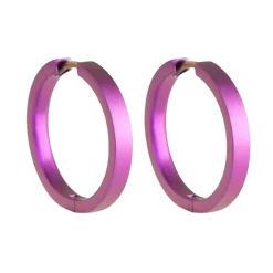 Tomfoolery 24mm Titanium Hoops Discount