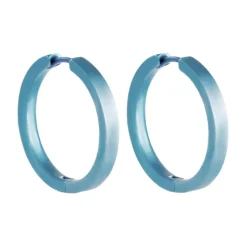 Tomfoolery 24mm Titanium Hoops Discount
