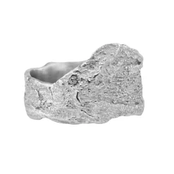 Tomfoolery Original London Plane Ring in Silver Best