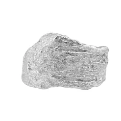 Tomfoolery Original London Plane Ring in Silver Best