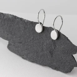 Tomfoolery Oval Drop Earrings Fashion