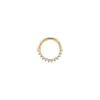 Tomfoolery Pave Diamond Daith Hoop Fashion