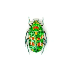 Tomfoolery Rainbow Flower Beetle Beaded Sequin Brooch Best