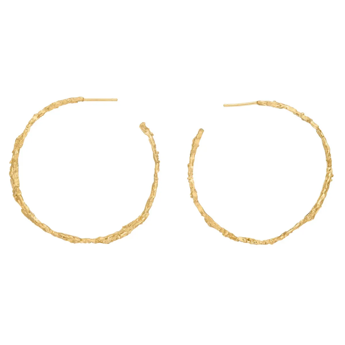 Tomfoolery Rebutia Large Gold Hoops Sale