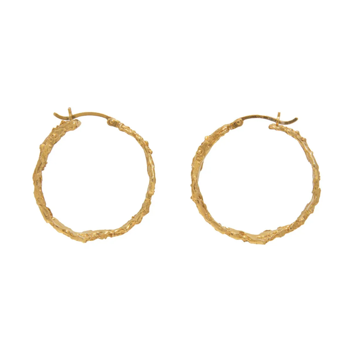 Tomfoolery Rebutia Medium Gold Hoops(Out of Stock) Sale