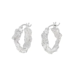 Tomfoolery Rebutia Small Silver Hoops Fashion