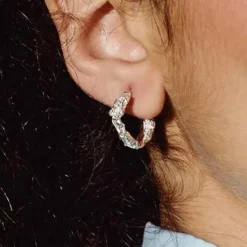 Tomfoolery Rebutia Small Silver Hoops Fashion