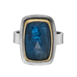 Tomfoolery Rectangular Kyanite Statement Ring New