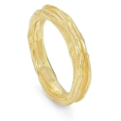 Tomfoolery Ripple Medium Gold Band Fashion