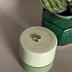 Tomfoolery Sidekick Jewellery Box in Mint New