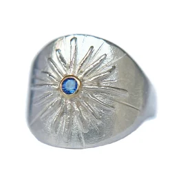 Tomfoolery Silver & Sapphire Shield Signet Ring Online