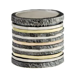 Tomfoolery SIlver and Gold Tall Spinning Ring Hot