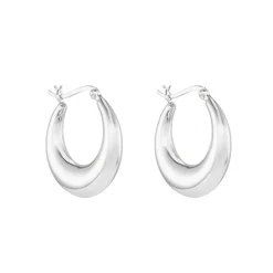 Tomfoolery Silver Crescent Hoops Best