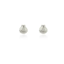 Tomfoolery Silver Shell Stud Earrings Discount
