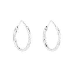 Tomfoolery Silver Sparkle Hoops Best