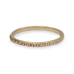 Tomfoolery Slim Hammered Chain Band Fashion