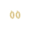 Tomfoolery Small Chunky Tube Gold Plated Silver Hoop 21mm Discount