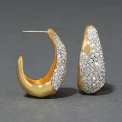 Tomfoolery Solanales Crystal Hoop Earrings New