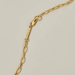 Tomfoolery Solanales Crystal Pendulum Pendant Necklace – Champagne(Out of Stock) Best